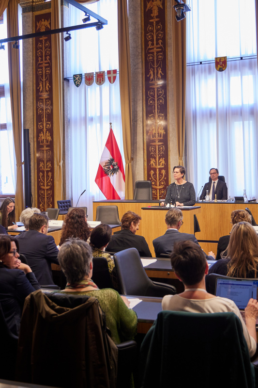 Statement von Petra Schmidt Österreichisches Rotes Kreuz