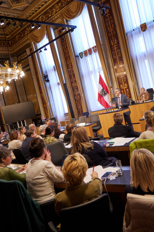 Referat von Manfred Pallinger Bundesministerium für Soziales, Gesundheit, Pflege und Konsumentenschutz