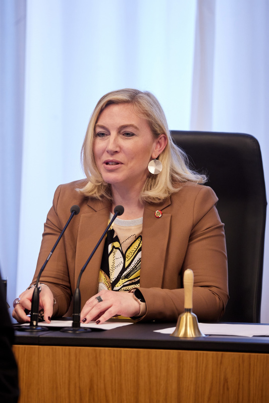 Bundesratsvizepräsidentin Doris Hahn (SPÖ) am Präsidium