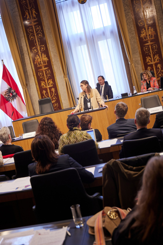 Referate von 2. Vizepräsidentin Österreichischer Gesundheits- und Krankenpflegeverband Tamara Archan