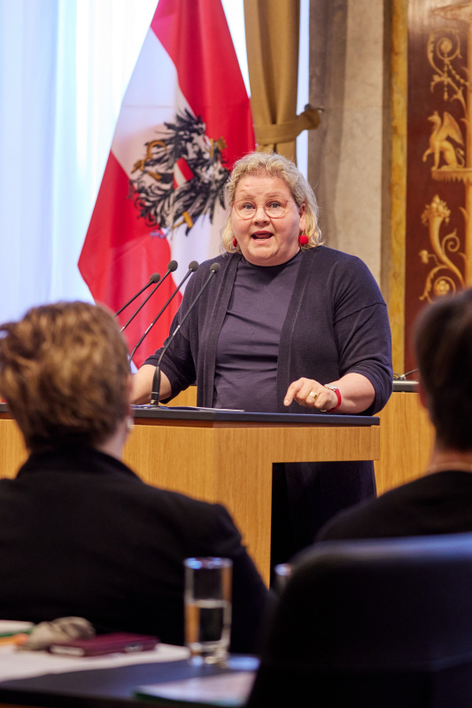 Statement von Vorsitzende der Bundesratsfraktion Korinna Schumann (SPÖ)