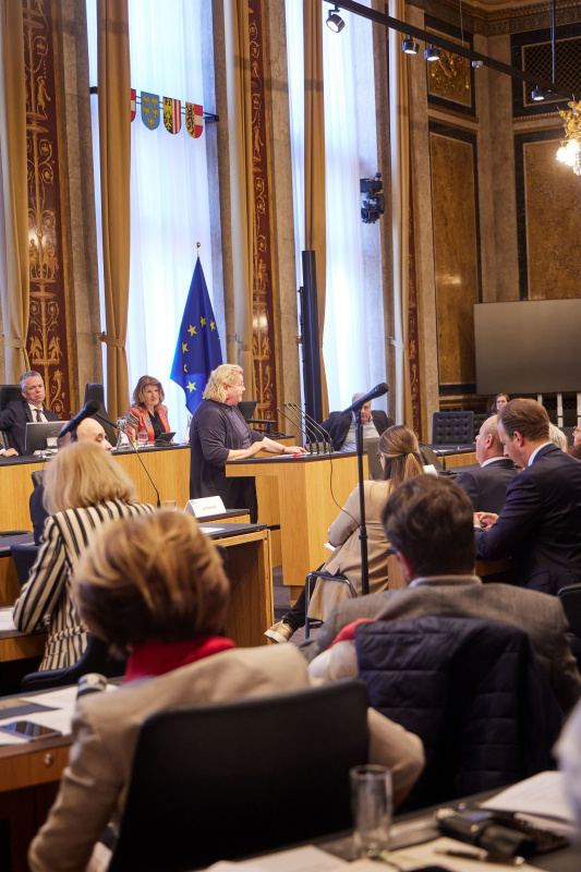 Statement von Vorsitzende der Bundesratsfraktion Korinna Schumann (SPÖ)