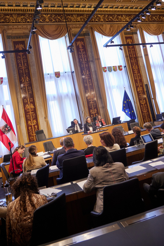 Statement von Silvia Rosoli AK Wien