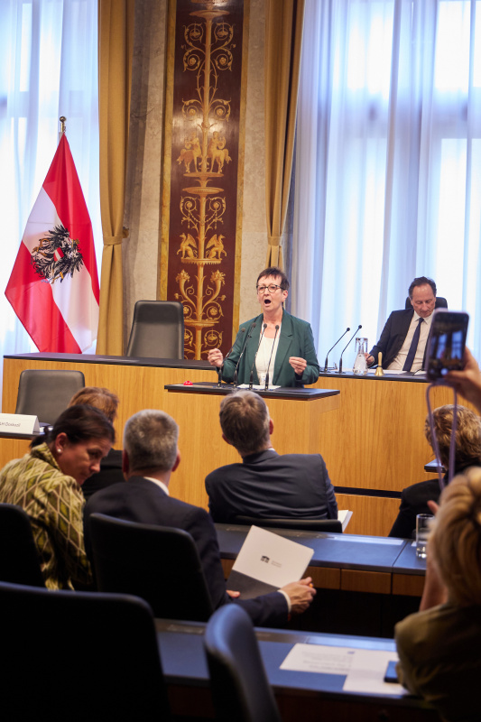 Statement von Abgeordnete zum OÖ Landtag Ulrike Schwarz (GRÜNE)