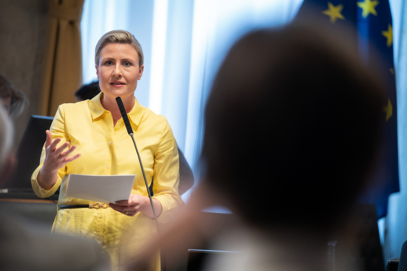 Am Rednerpult Bundesministerin Susanne Raab (ÖVP)