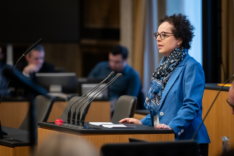 Am Rednerpult Bundesrätin Christine Schwarz-Fuchs (ÖVP)