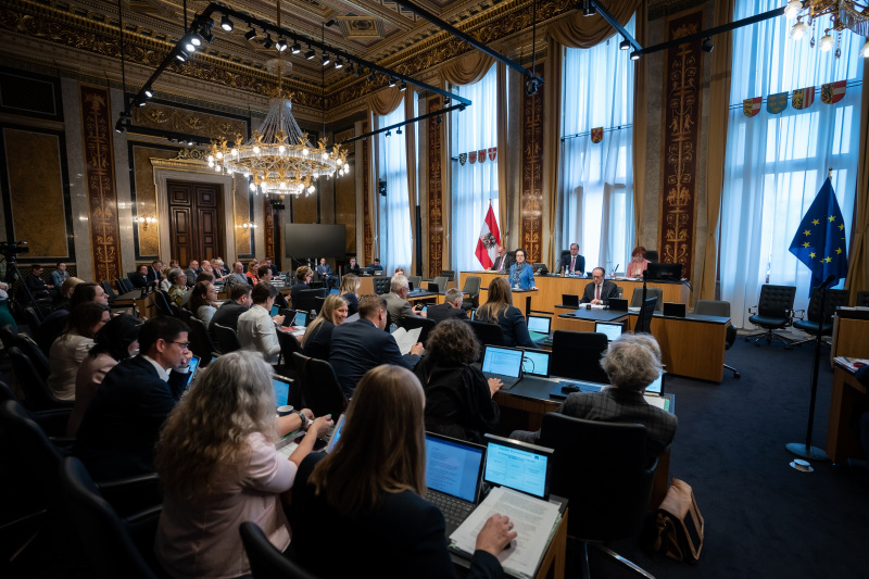 Am Rednerpult Bundesrätin Christine Schwarz-Fuchs (ÖVP)