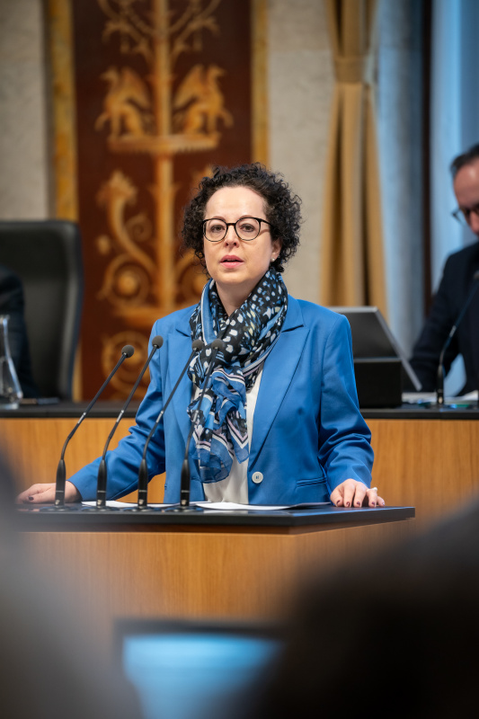 Am Rednerpult Bundesrätin Christine Schwarz-Fuchs (ÖVP)