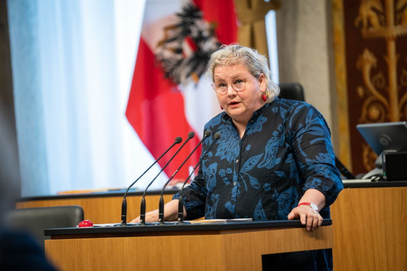 Am Rednerpult Bundesrätin Korinna Schumann (SPÖ)