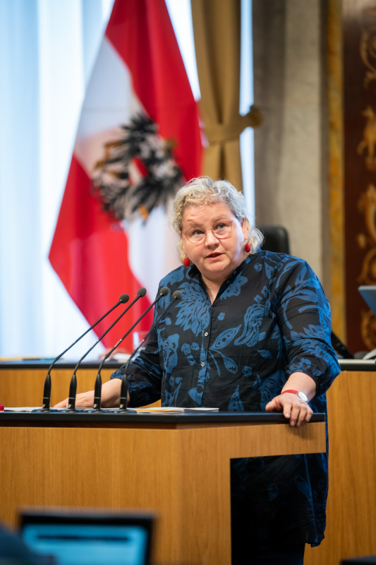 Am Rednerpult Bundesrätin Korinna Schumann (SPÖ)