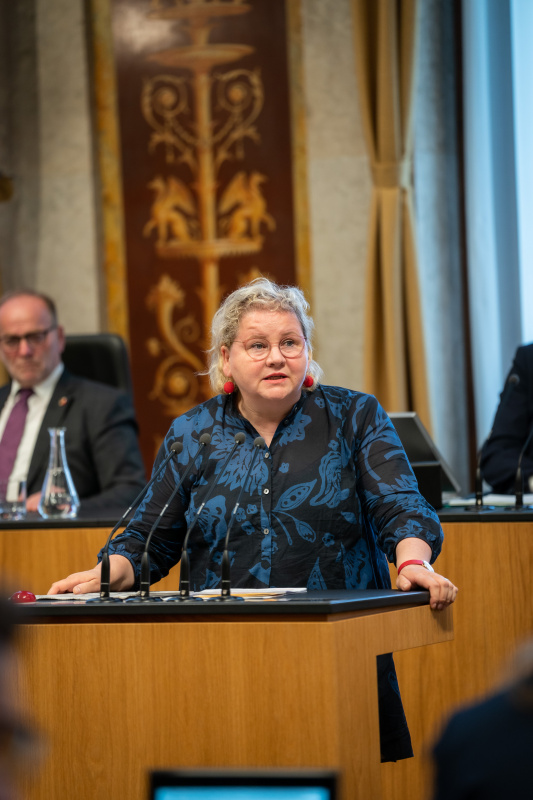 Am Rednerpult Bundesrätin Korinna Schumann (SPÖ)