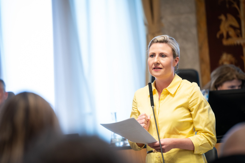 Auf der Regierungsbank Bundesministerin Susanne Raab (ÖVP)