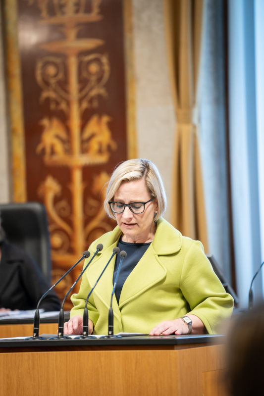 Am Rednerpult Bundesrätin Sandra Gerdenitsch (SPÖ)