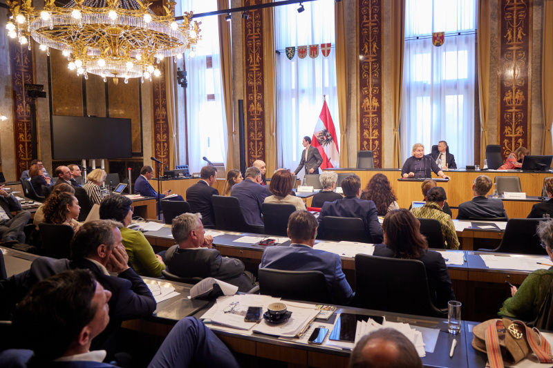 Statement von Vorsitzende der Bundesratsfraktion Korinna Schumann (SPÖ)