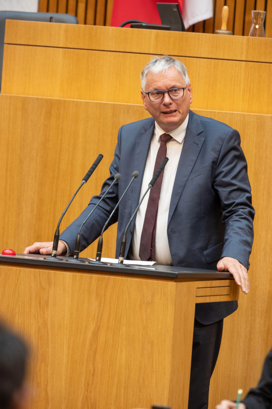 Nationalratsabgeordneter Alois Stöger (SPÖ) am Redner:innenpult