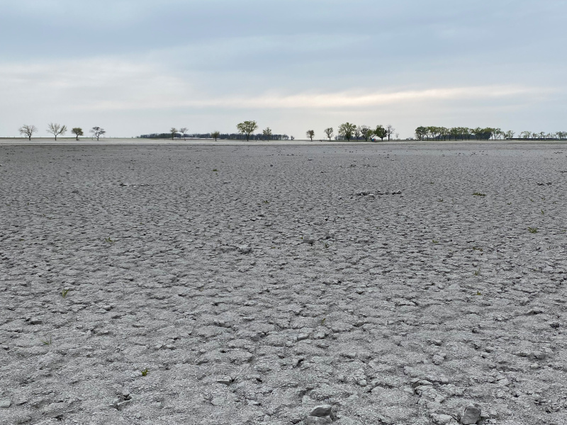 Illustration Zukunftsthemen