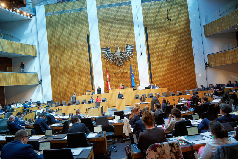 Am Rednerpult: Abgeordnete zum EU-Parlament Claudia Gamon (NEOS)