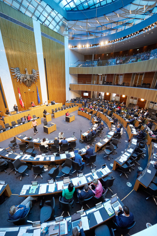 Am Rednerpult: Abgeordnete zum EU-Parlament Theresa Bielowski (SPÖ)