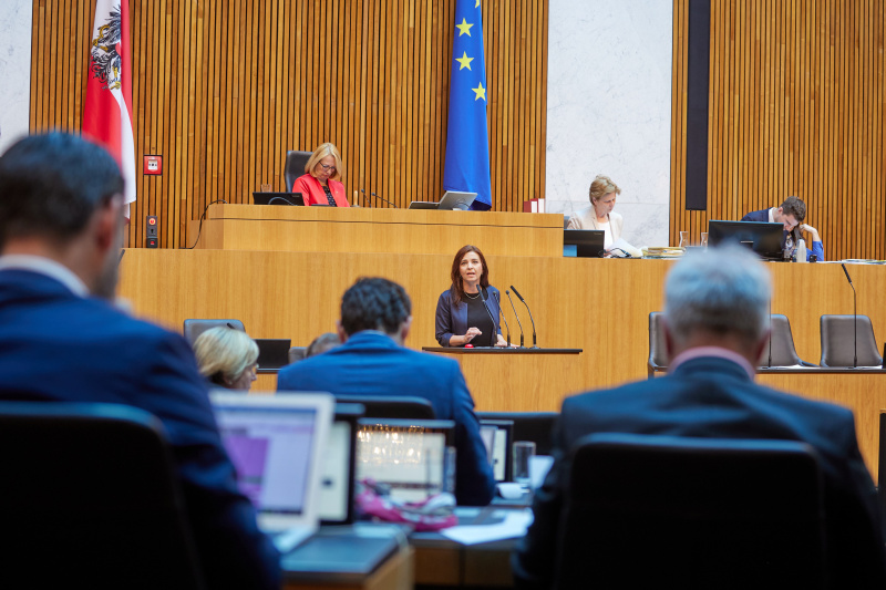 Am Rednerpult: Nationalratsabgeordnete Ewa Ernst-Dziedzic (GRÜNE)