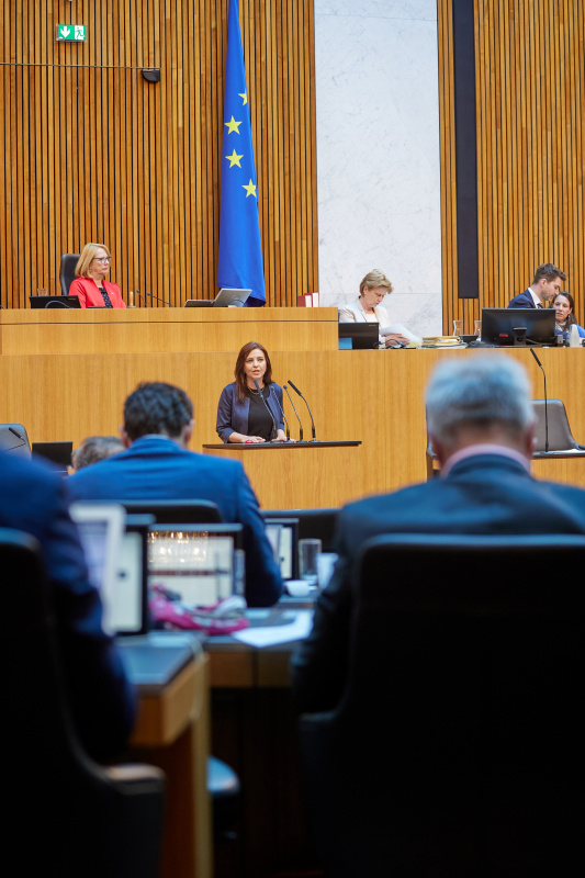 Am Rednerpult: Nationalratsabgeordnete Ewa Ernst-Dziedzic (GRÜNE)