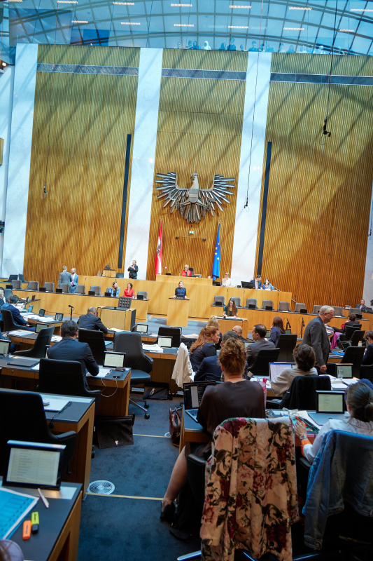 Am Rednerpult: Abgeordnete zum EU-Parlament Claudia Gamon (NEOS)