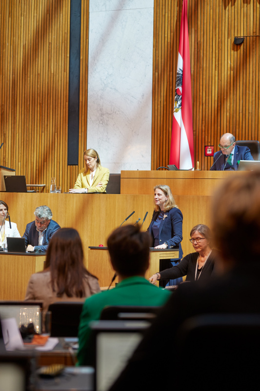 Am Rednerpult: Klubobfrau Beate Meindl-Reisinger (NEOS)