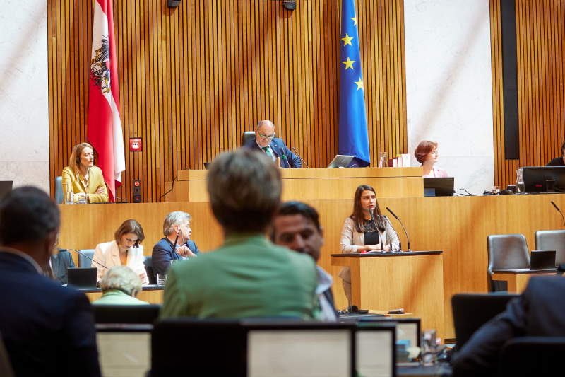 Am Rednerpult: Nationalratsabgeordnete Meri Disoski (GRÜNE)