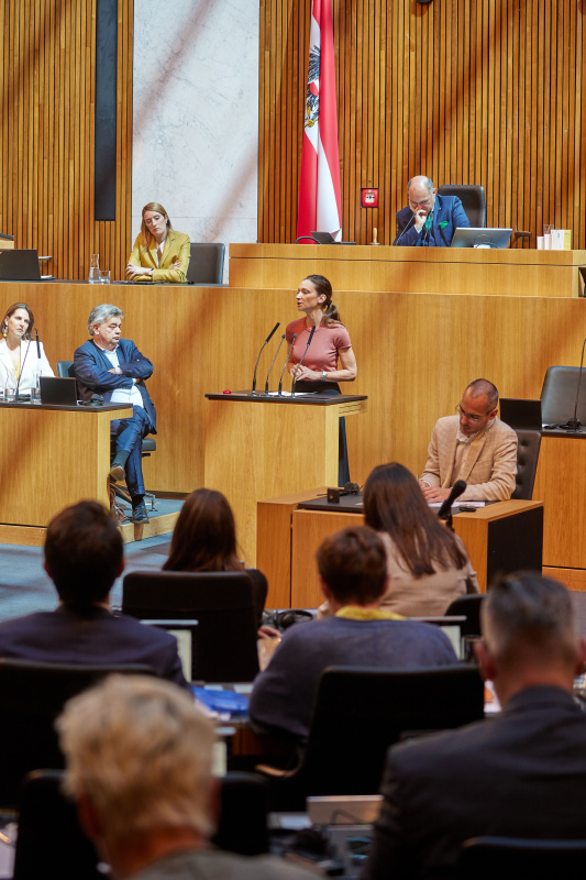 Am Rednerpult: Nationalratsabgeordnete Susanne Fürst (FPÖ)