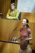 Am Rednerpult: Nationalratsabgeordnete Susanne Fürst (FPÖ)