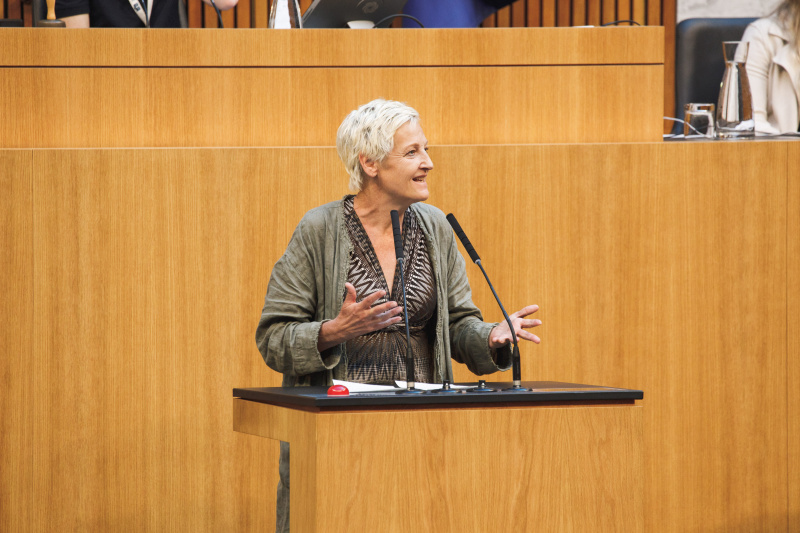 Am Rednerpult Nationalratsabgeordnete Sybille Hamann (Grüne)