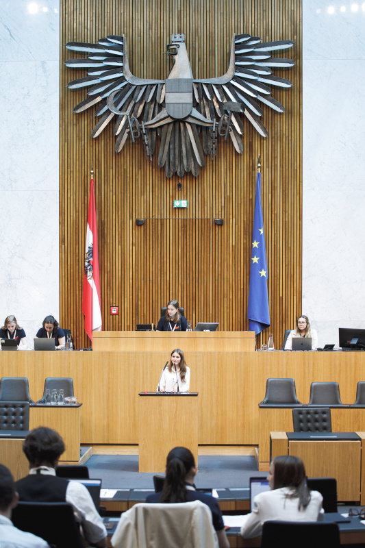 Veranstaltungsteilnehmerin am Renderpult