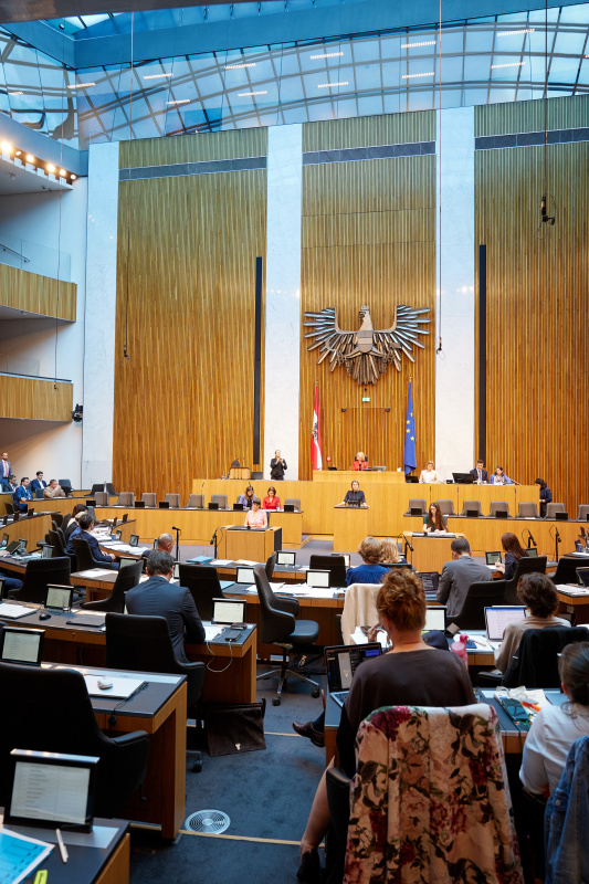 Am Rednerpult: Abgeordnete zum EU-Parlament Claudia Gamon (NEOS)