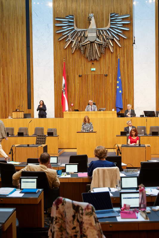 Am Rednerpult Nationalratsabgeordnete Angela Baumgartner (ÖVP)