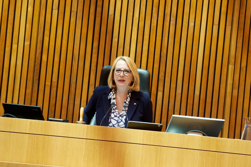 Zweite Nationalratspräsidentin Doris Bures (SPÖ) am Präsidium