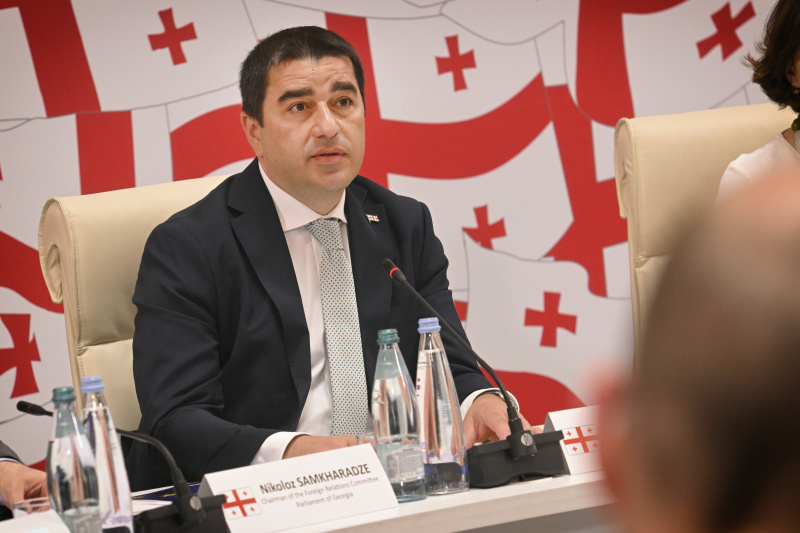 Georgischer Parlamentspräsident Shalva Papuashvili