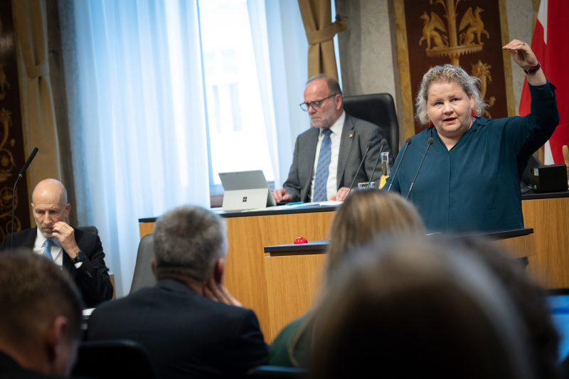 Am Redner:innenpult Bundesrätin Korinna Schumann (SPÖ)