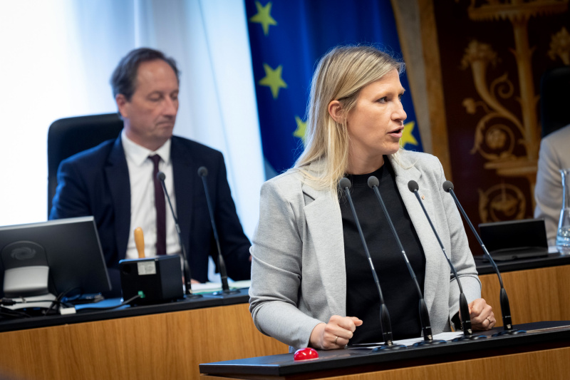 Am Redner:innenpult Bundesrätin Alexandra Platzer (ÖVP)