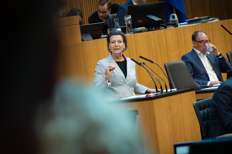 Nationalratsabgeordnete Gabriele Heinisch-Hosek (SPÖ) am Redner:innenpult