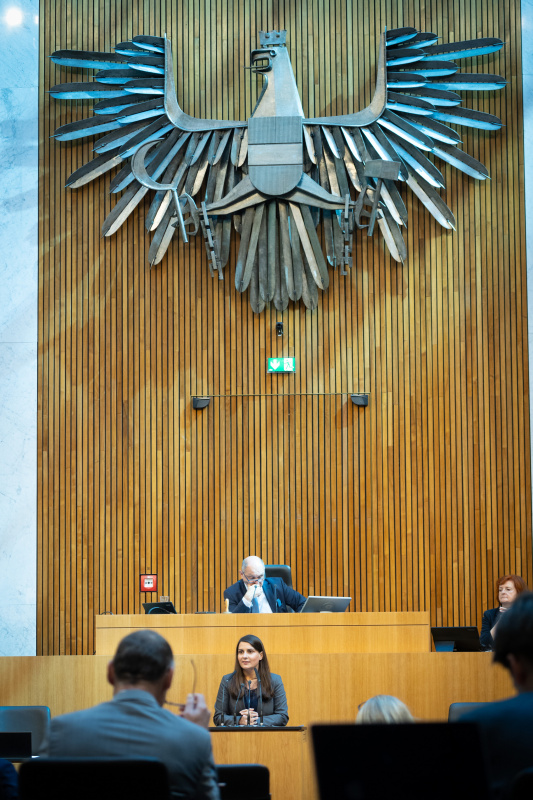 Nationalratsabgeordnete Meri Disoski (GRÜNE) am Redner:innenpult, Nationalratspräsident Wolfgang Sobotka (ÖVP) am Präsidium