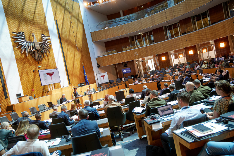 Session 1, speech by Janani Vivekananda, Head of Programme Climate Diplomacy and Security, Adelphi