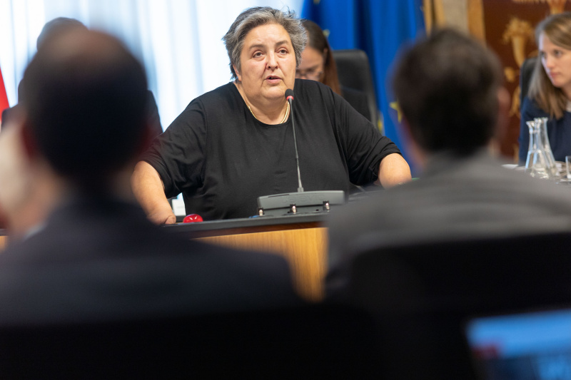 Am Rednerpult: Abgeordnete Blimlinger Eva (Grüne)