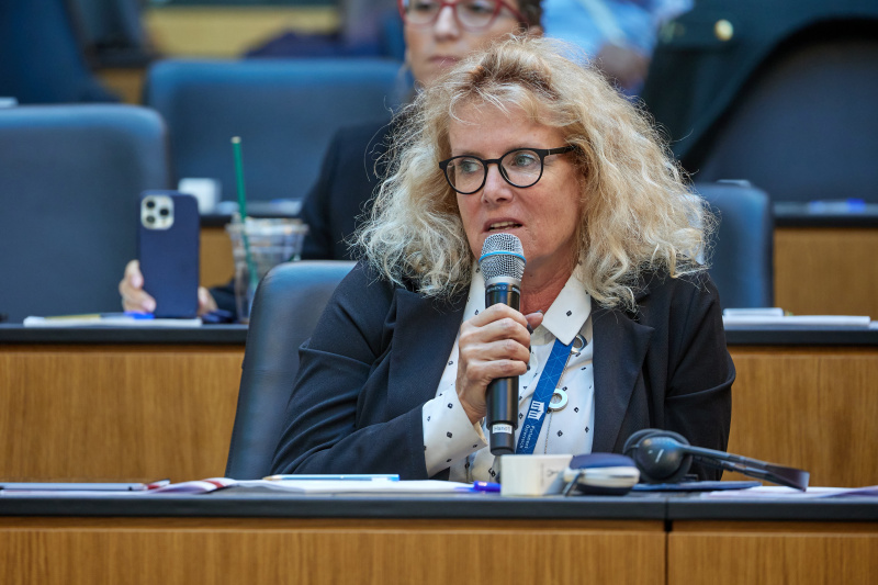 Session 4 - Debate - Question of participant