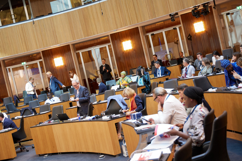 Adoption of the Conference Statement, Daniel Reimers, Programme Manager, DCAF – Geneva Centre for Security Sector Governance