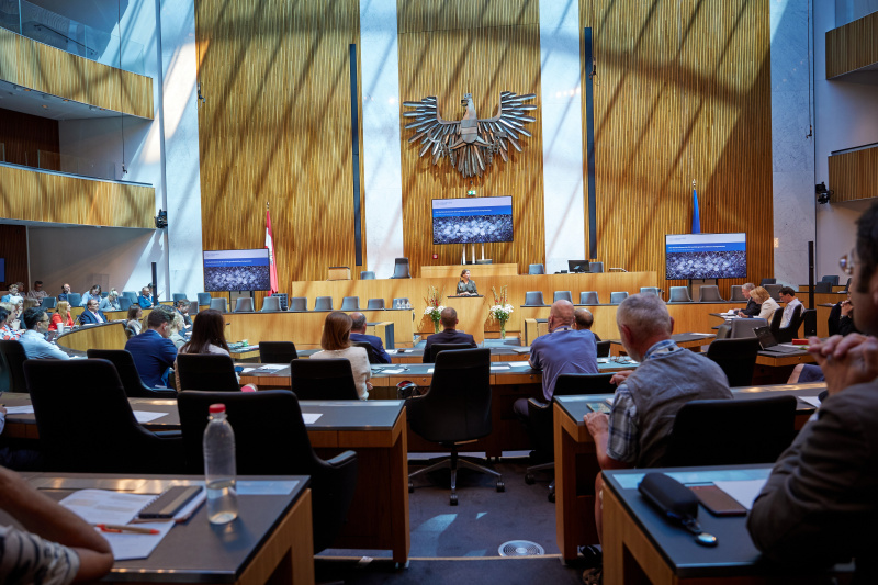 Impulsvortrag von Iris Eisenberger Universität Wien