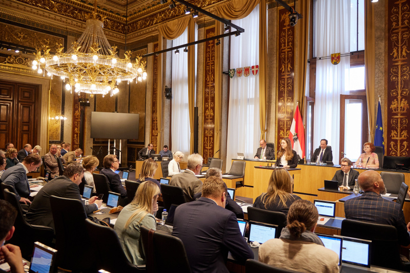 Am Rednerpult Bundesrätin Elisabeth Wolff (ÖVP)