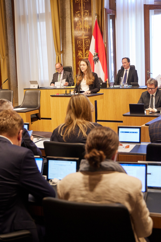 Am Rednerpult Bundesrätin Elisabeth Wolff (ÖVP)