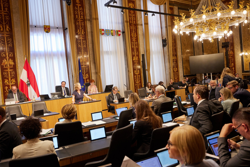 Am Rednerpult Bundesrätin Daniela Gruber-Pruner (SPÖ)