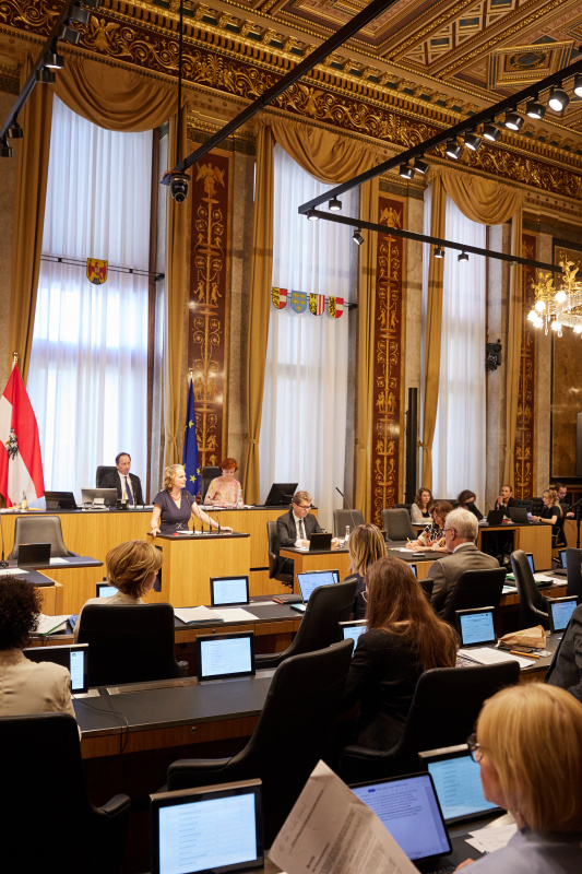 Am Rednerpult Bundesrätin Daniela Gruber-Pruner (SPÖ)