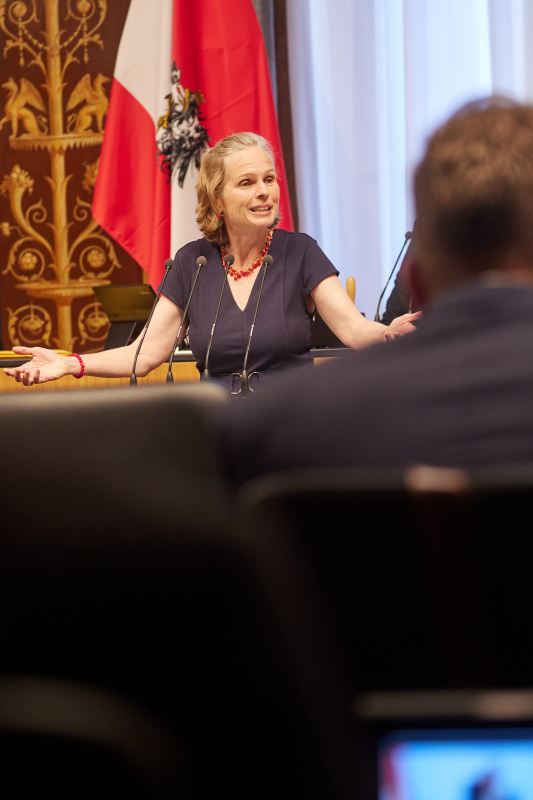 Am Rednerpult Bundesrätin Daniela Gruber-Pruner (SPÖ)