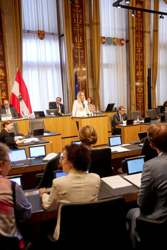 Am Rednerpult Bundesrätin Isabella Theuermann (FPÖ)